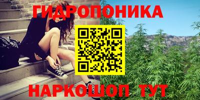 Альфа ПВП Ливны
